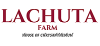 LACHUTA FARM